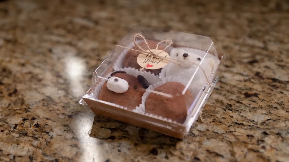 Classic Chocolate Mochi 3